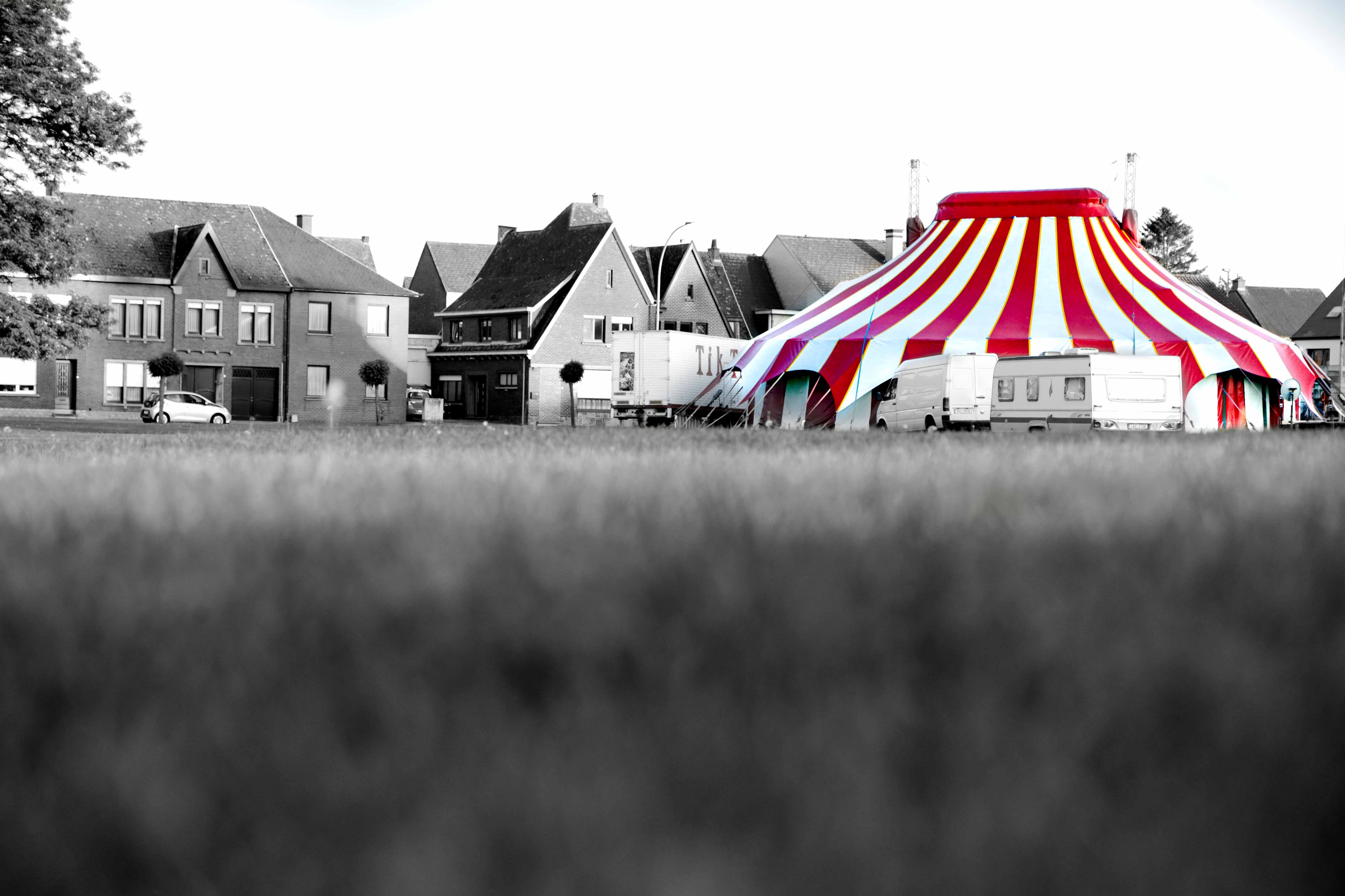 circus in herzele